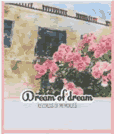 Dream of dream